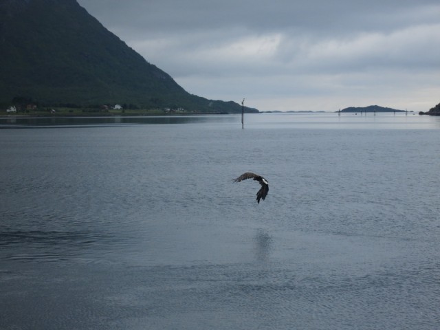 Hurtigruten_2015-06-25_17-24